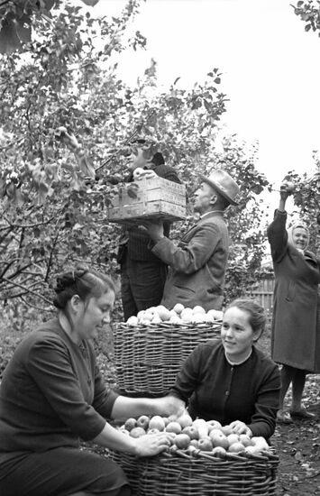 Dynamo agricultural cooperative