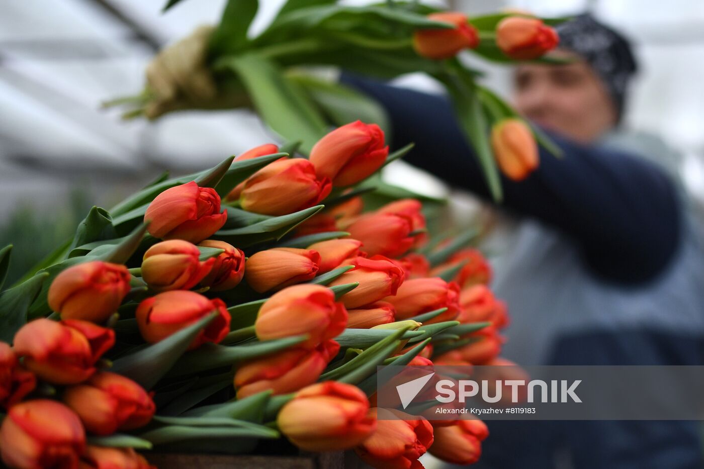 Russia Agriculture Gardening