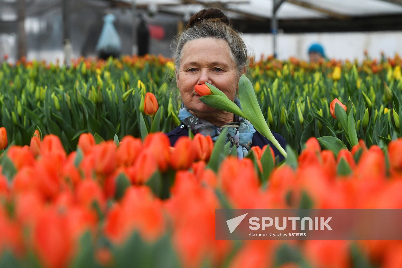 Russia Agriculture Gardening