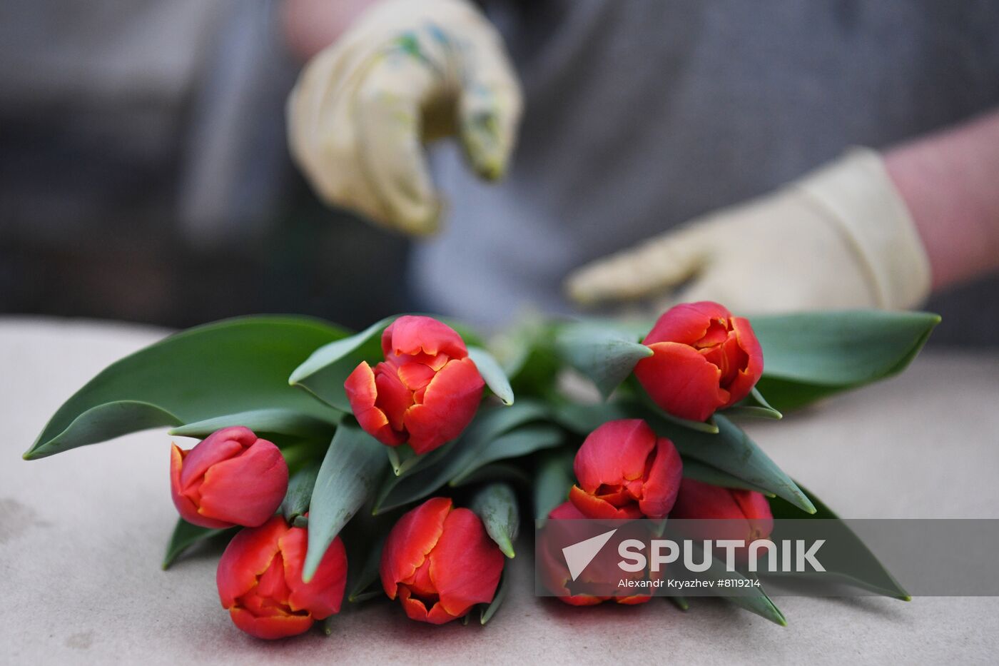 Russia Agriculture Gardening