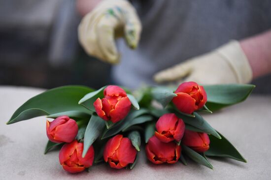 Russia Agriculture Gardening