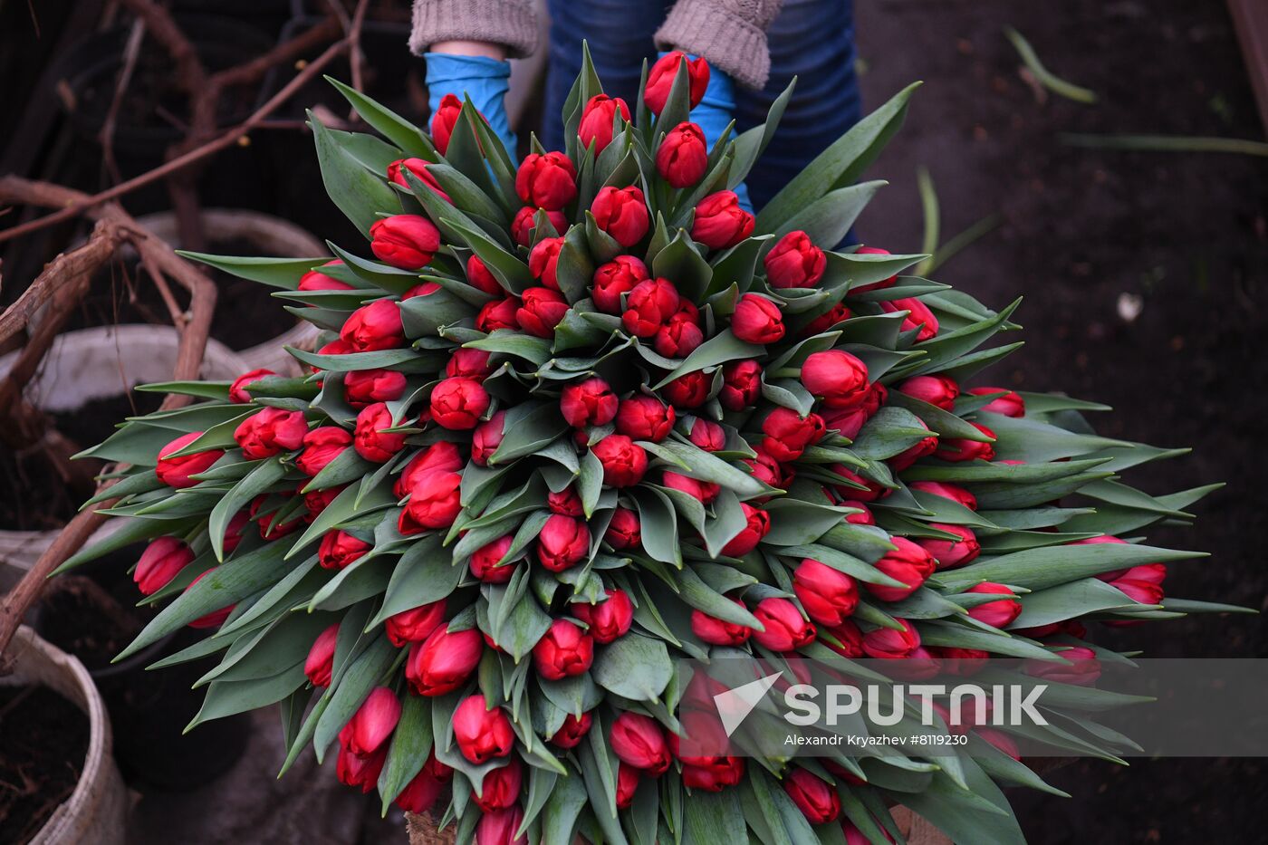 Russia Agriculture Gardening