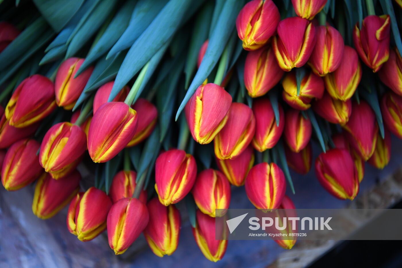 Russia Agriculture Gardening