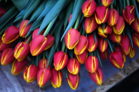 Russia Agriculture Gardening