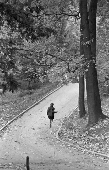 Autumn motive