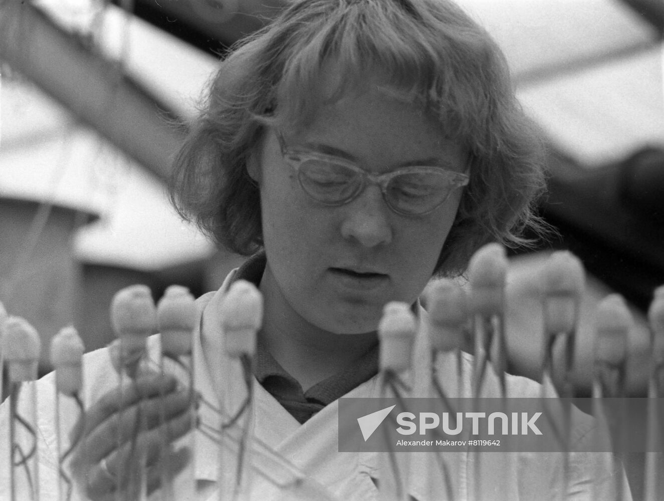 Augusts Kirhenšteins Institute of Microbiology of the Latvian Academy of Sciences