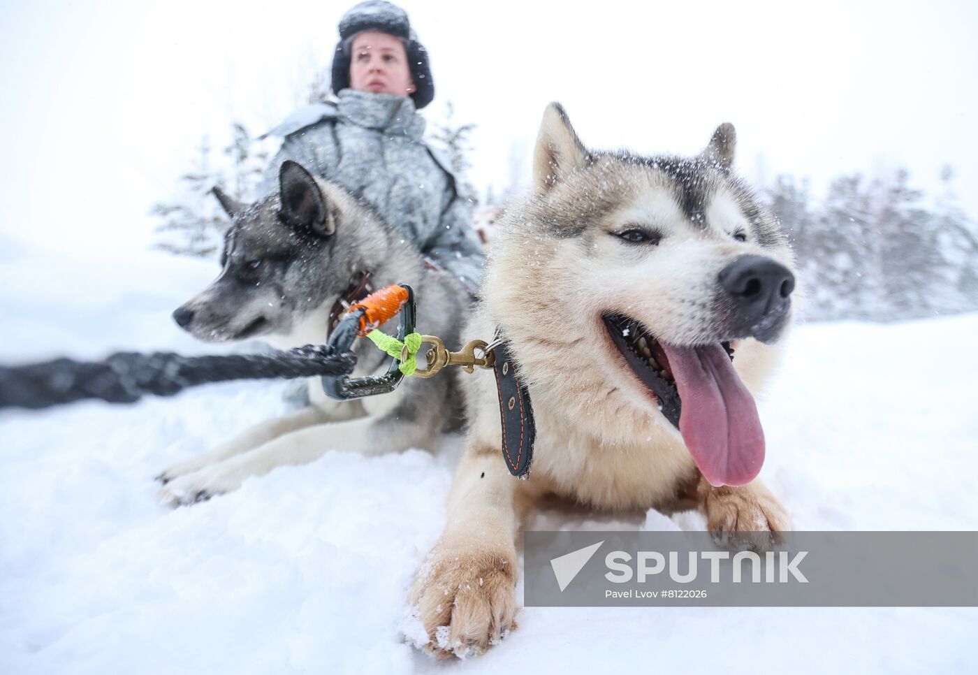 Russia Military Drills