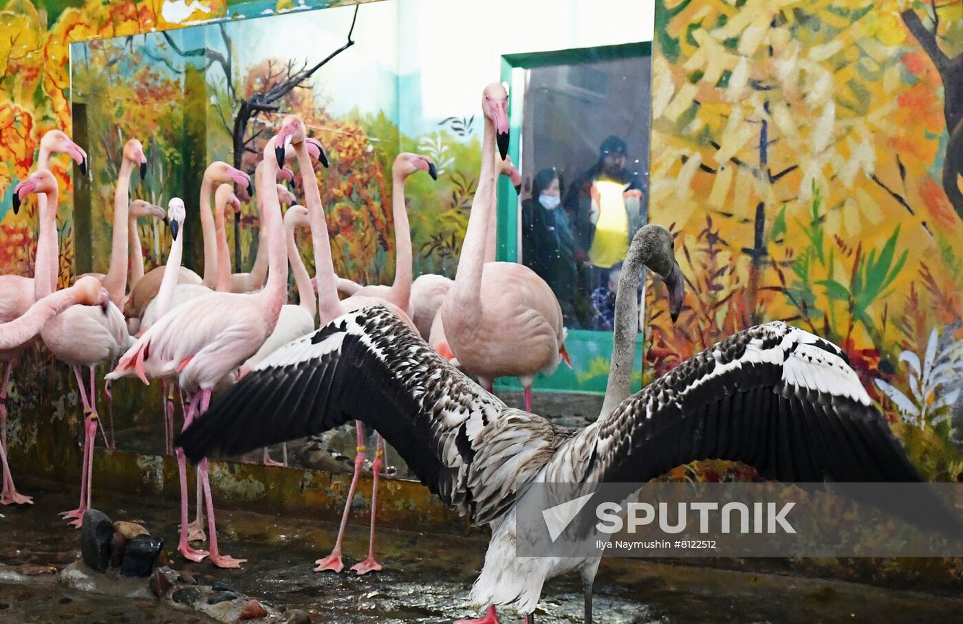 Russia Zoo