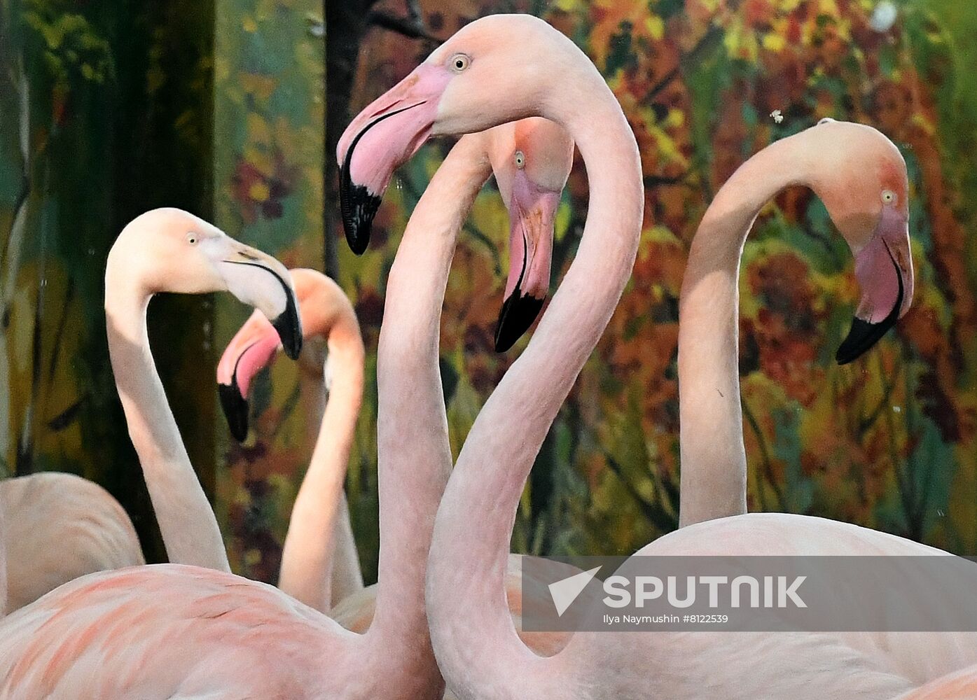 Russia Zoo
