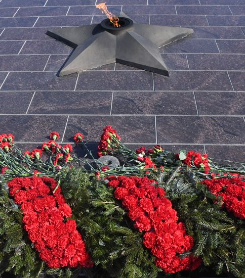 Russia Fatherland Defender Day