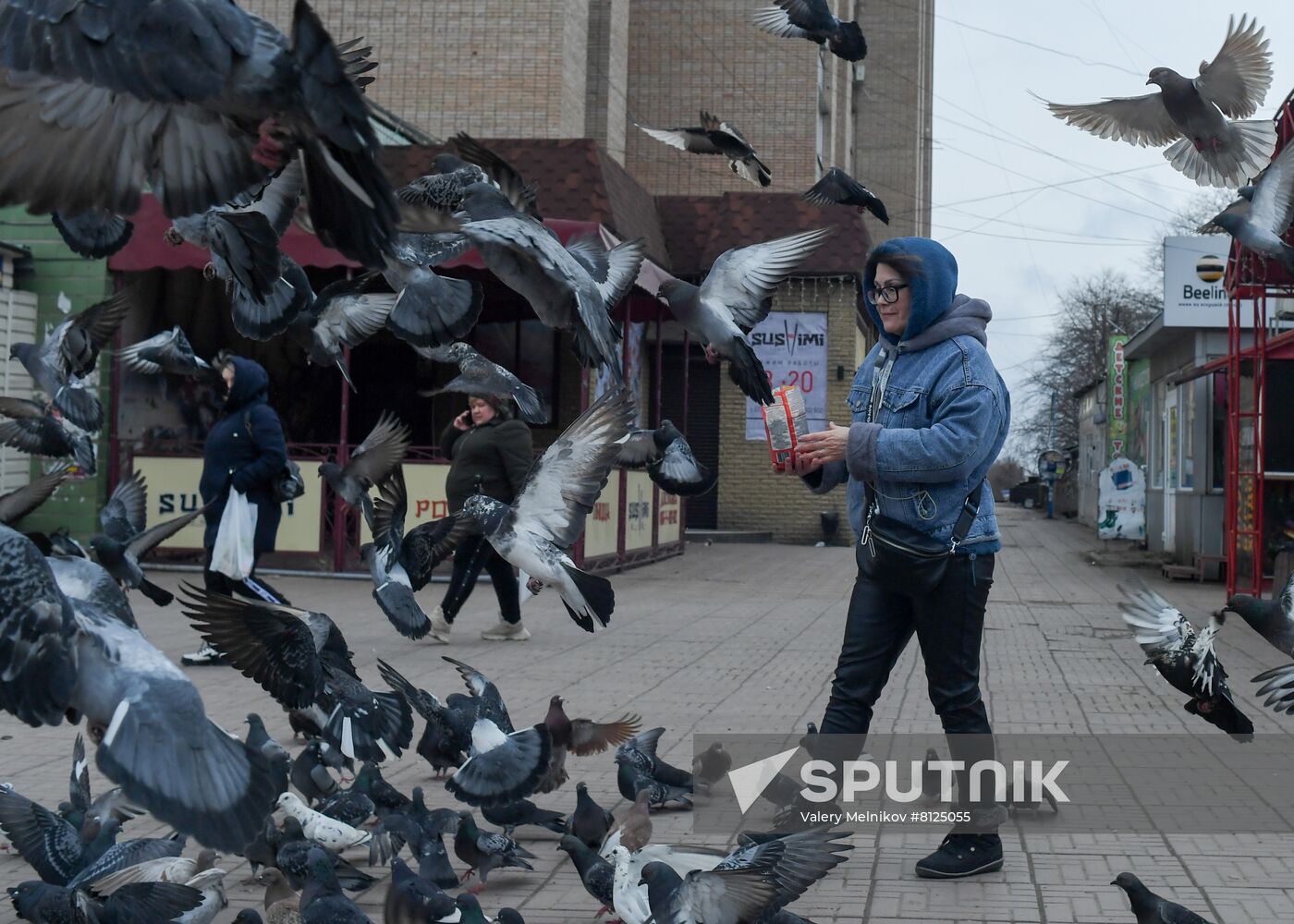 DPR LPR Russia Ukraine Military Operation