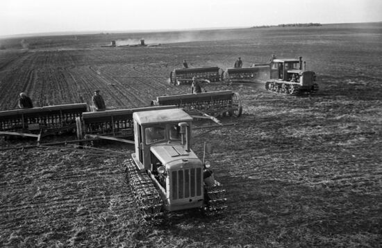 Planting season in Kemerovo Region
