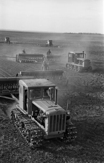 Planting season in Kemerovo Region