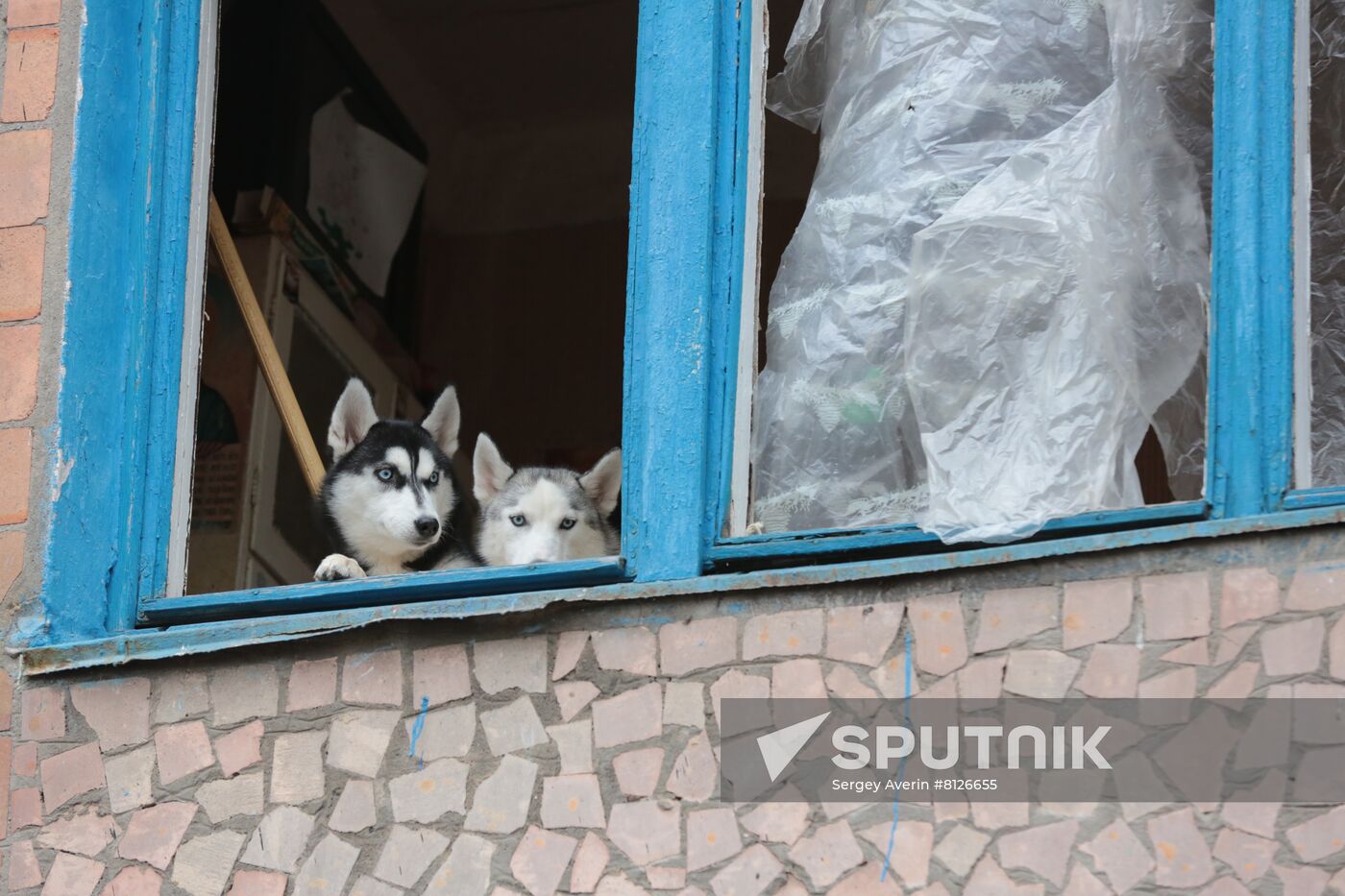 DPR LPR Russia Ukraine Military Operation