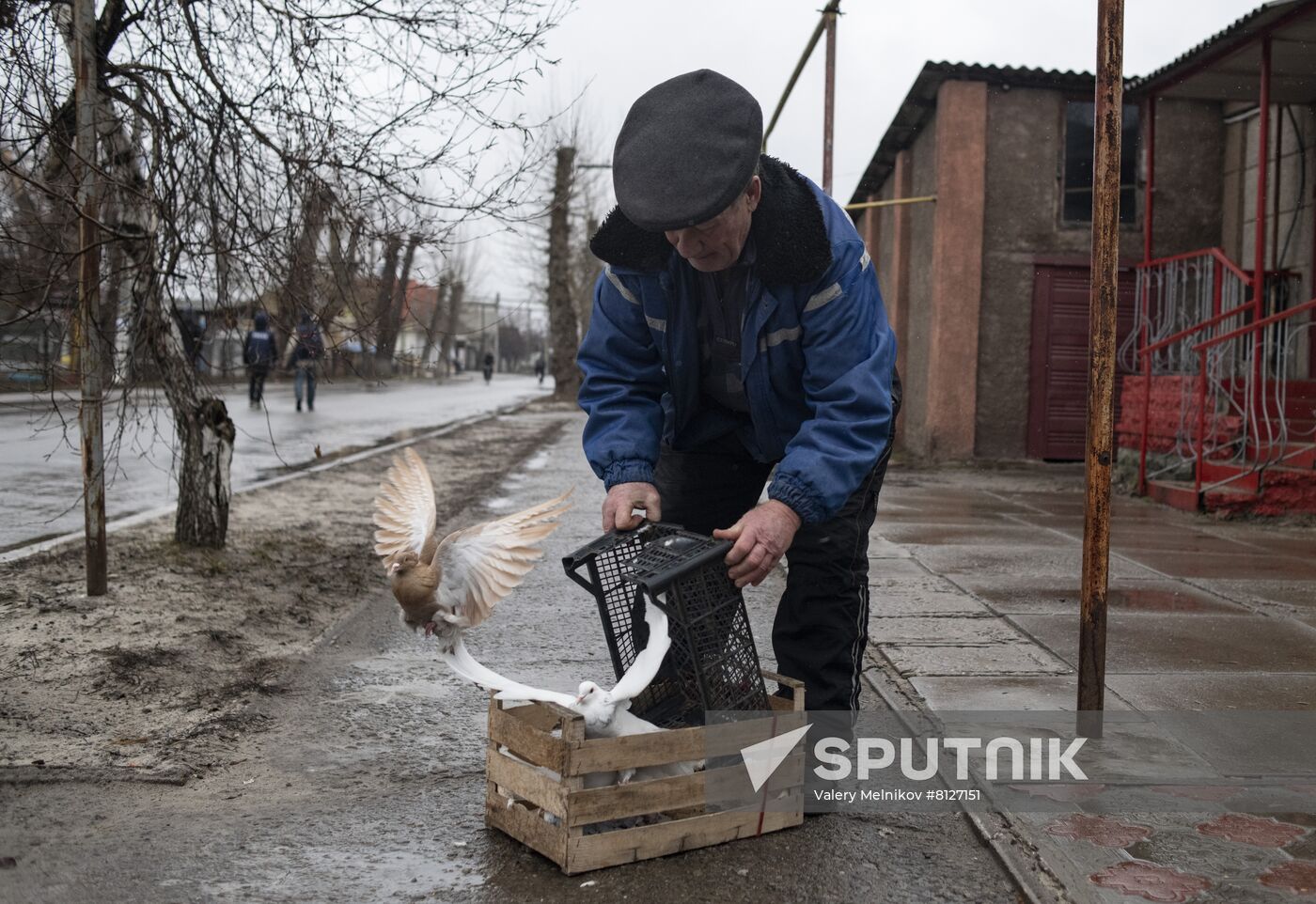 DPR LPR Russia Ukraine Military Operation