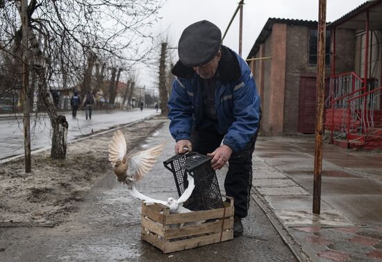 DPR LPR Russia Ukraine Military Operation