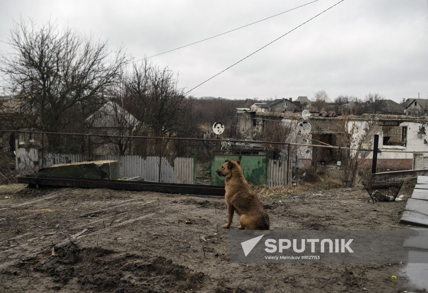 DPR LPR Russia Ukraine Military Operation
