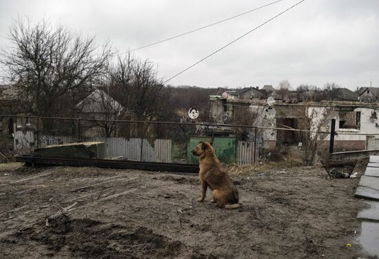 DPR LPR Russia Ukraine Military Operation
