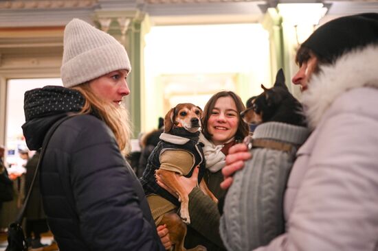 Poland Ukraine Refugees