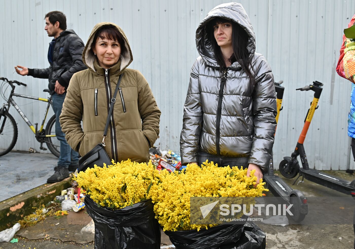 Russia Mimosa