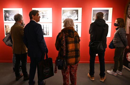 Spain Stenin Photo Contest