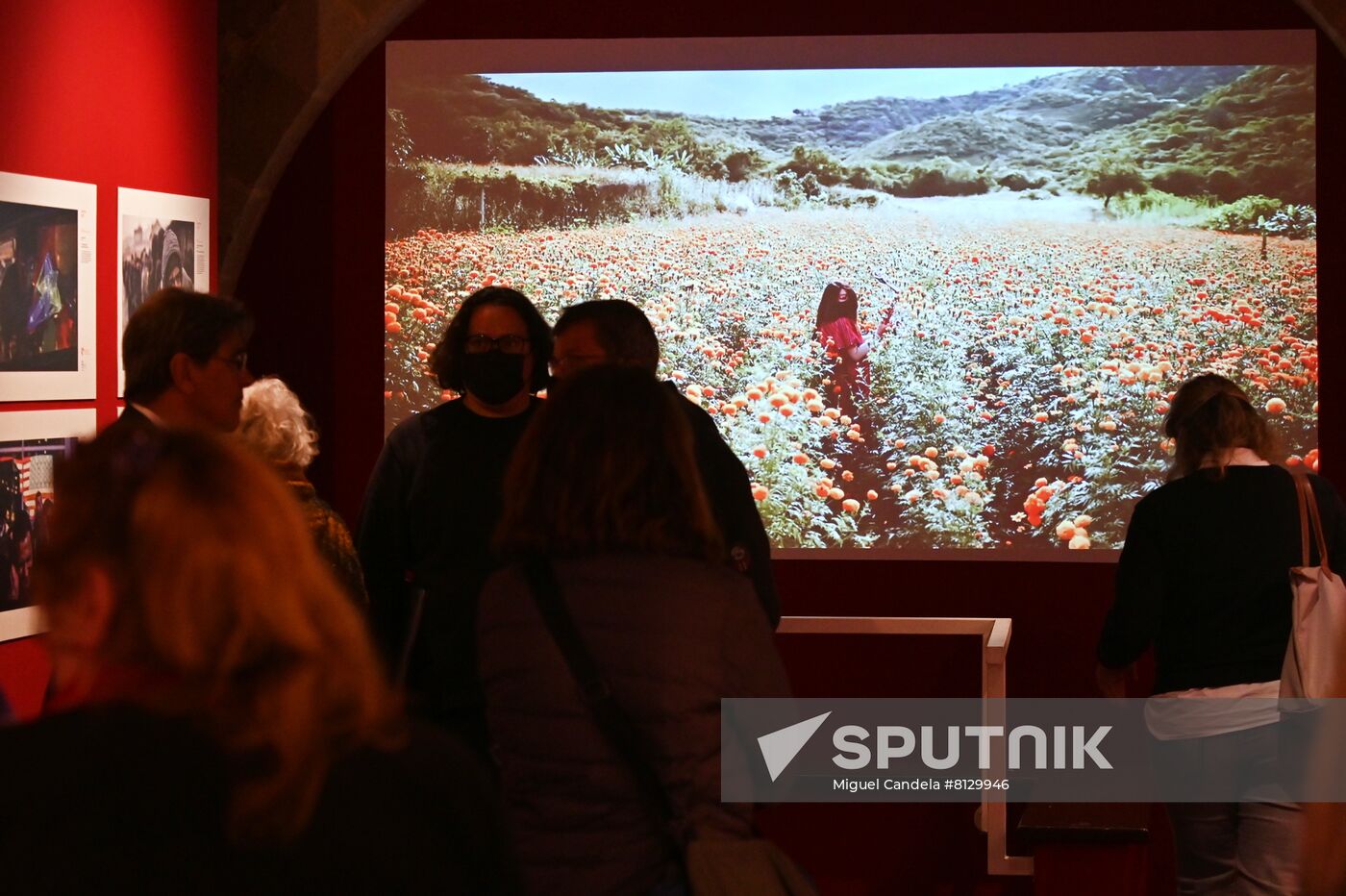 Spain Stenin Photo Contest
