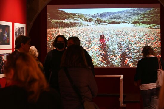 Spain Stenin Photo Contest