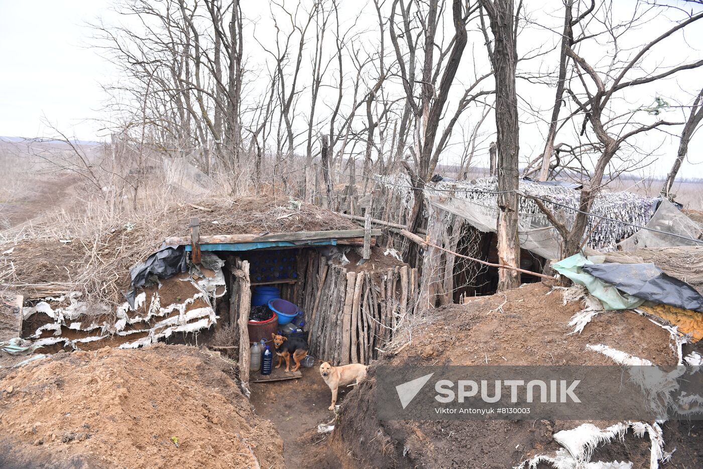 DPR LPR Russia Ukraine Military Operation 