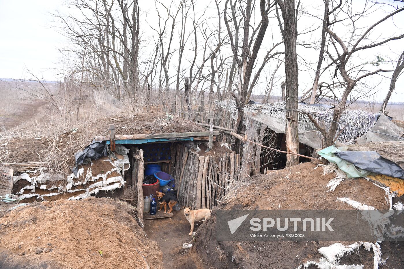 DPR LPR Russia Ukraine Military Operation