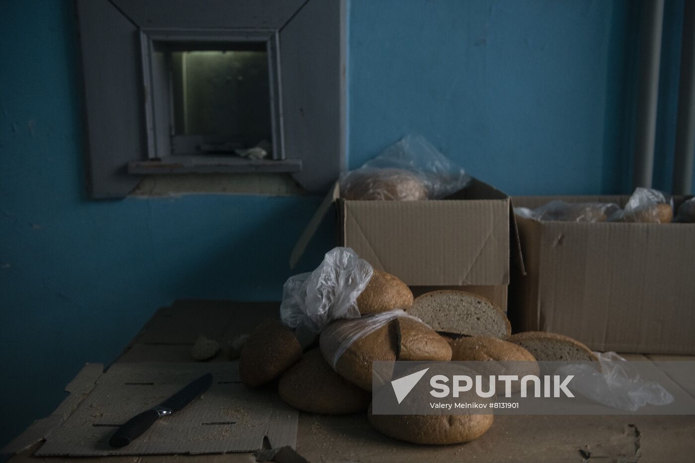 DPR LPR Russia Ukraine Military Operation