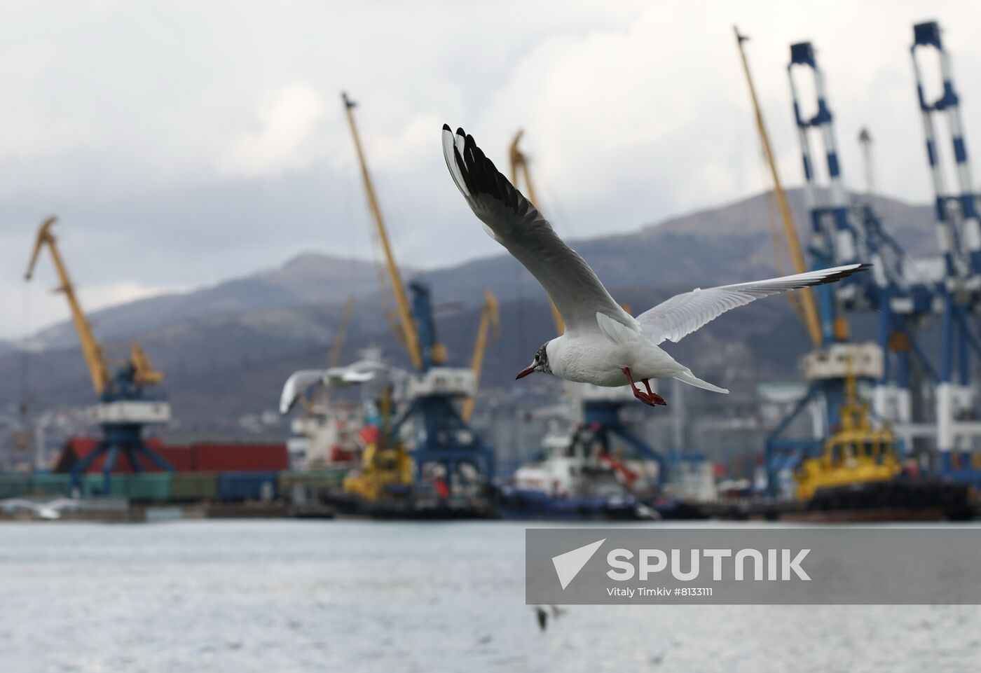 Russia Novorossiysk Sea Port