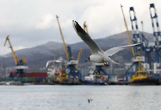 Russia Novorossiysk Sea Port
