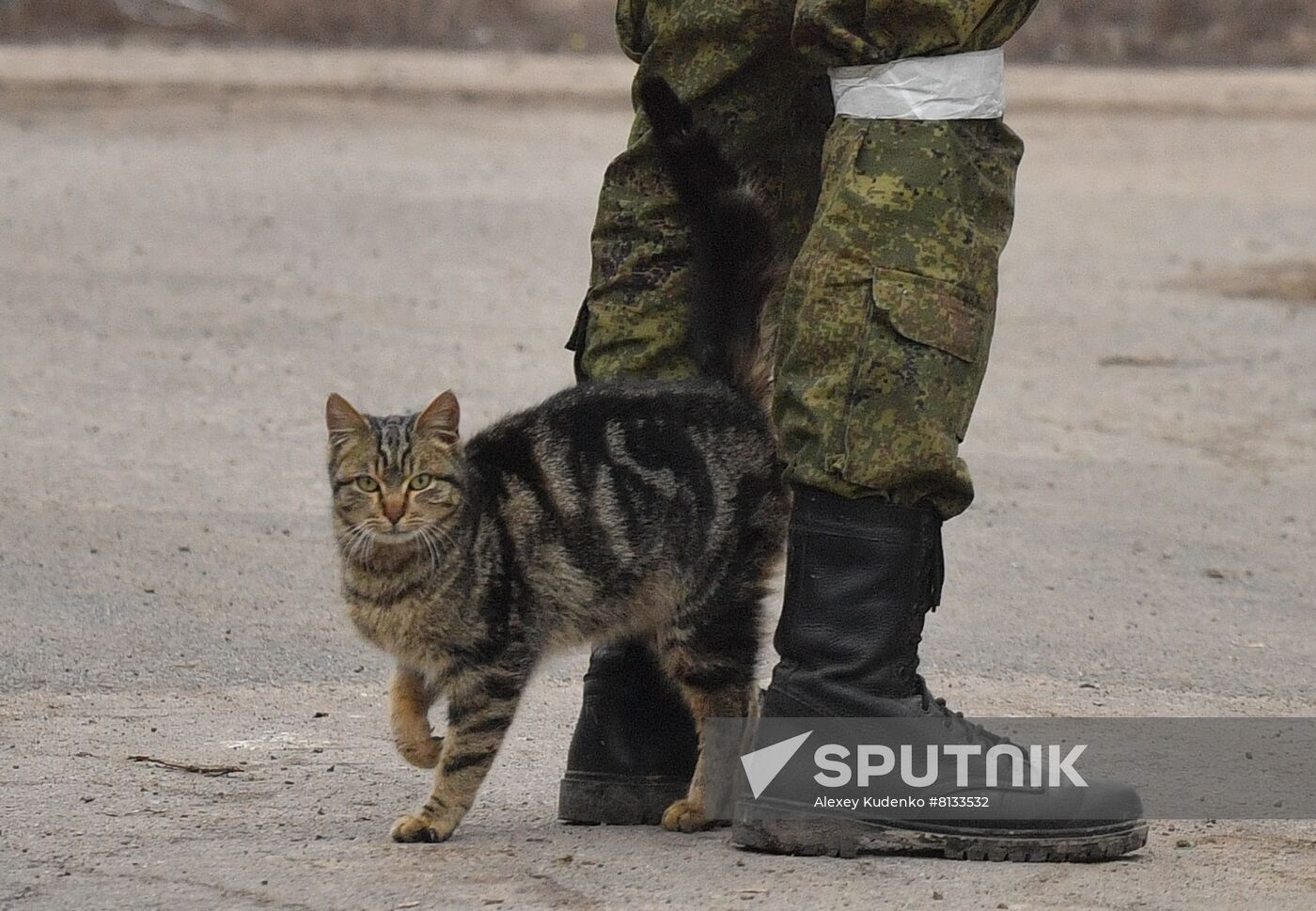 DPR LPR Russia Ukraine Military Operation