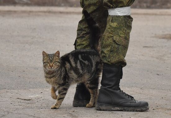 DPR LPR Russia Ukraine Military Operation
