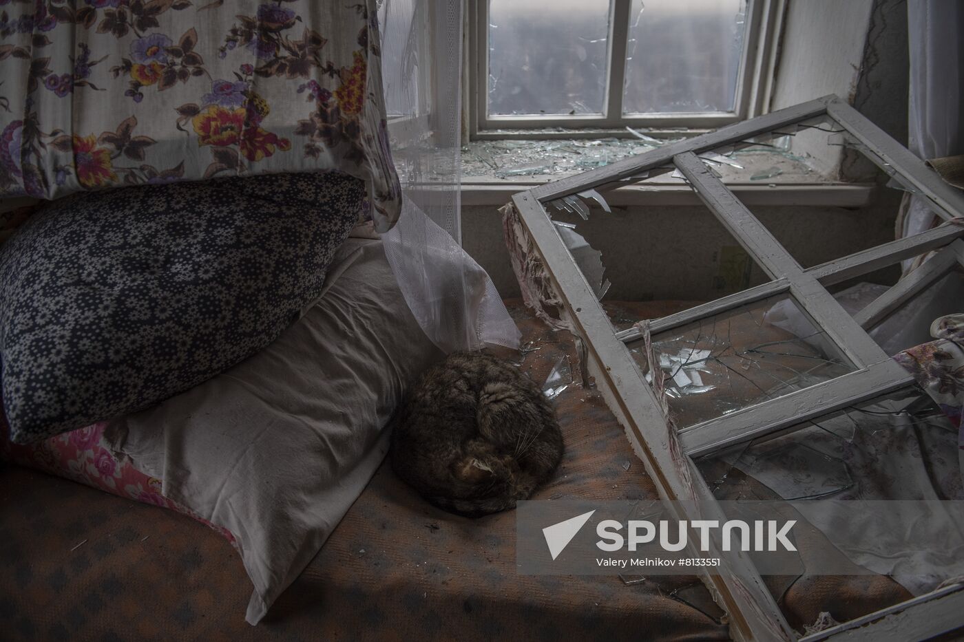 DPR LPR Russia Ukraine Military Operation