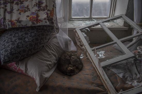 DPR LPR Russia Ukraine Military Operation