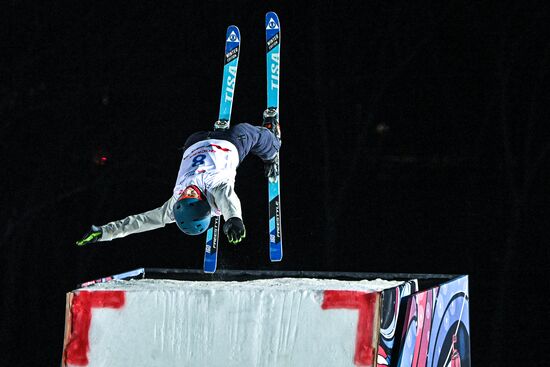 Russia Freestyle Skiing Cup