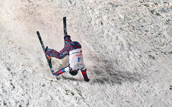 Russia Freestyle Skiing Cup