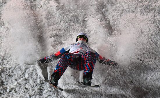 Russia Freestyle Skiing Cup