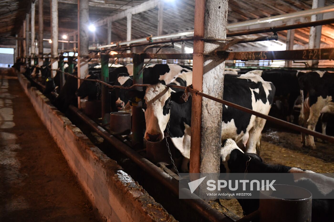 DPR LPR Russia Ukraine Military Operation