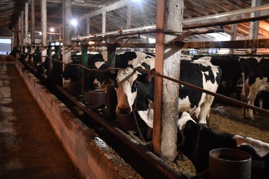 DPR LPR Russia Ukraine Military Operation