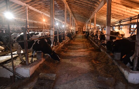 DPR LPR Russia Ukraine Military Operation