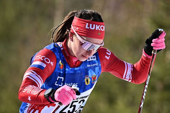 Russia Cross-Country Skiing Demino Marathon