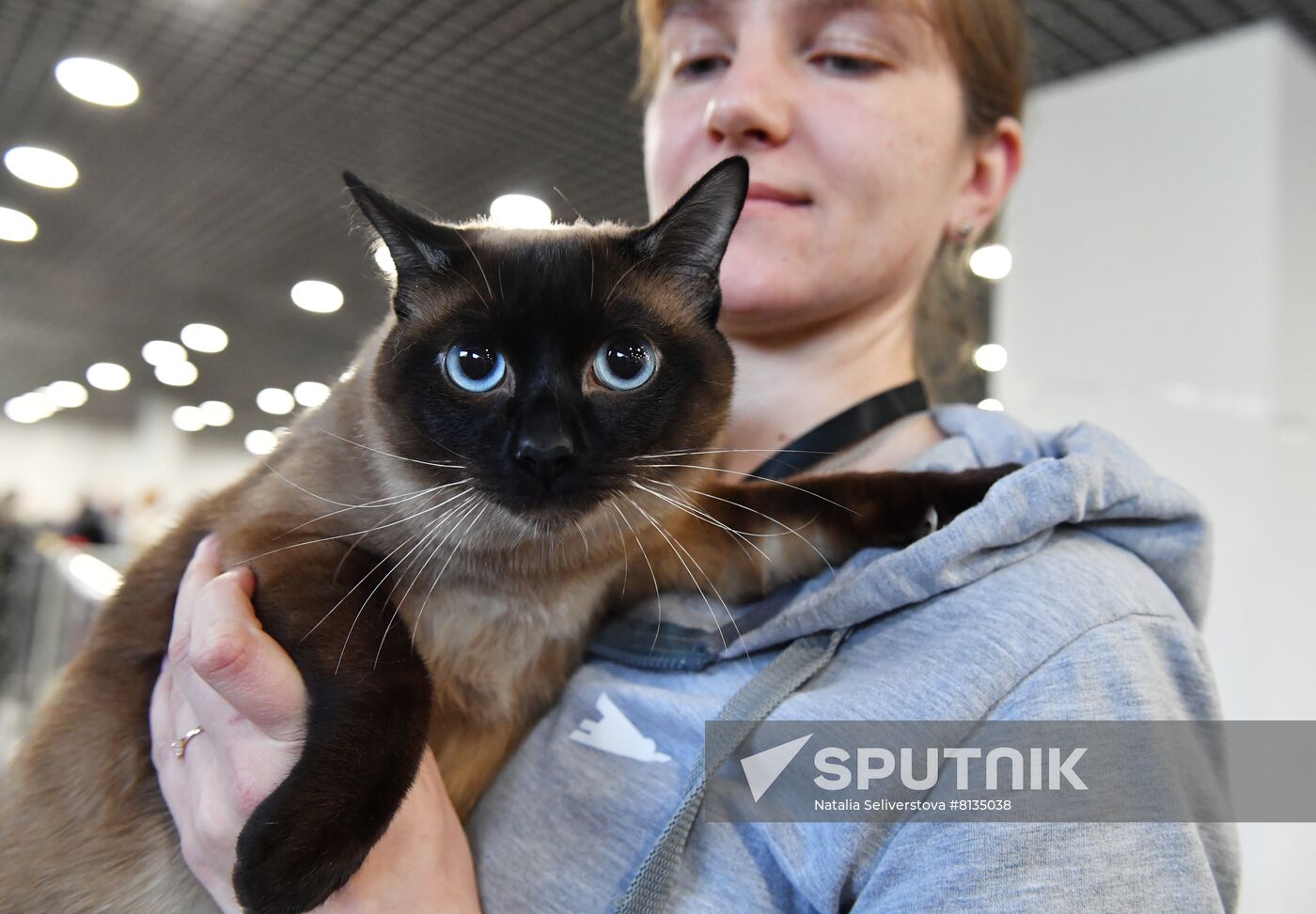 Russia Cat Exhibition