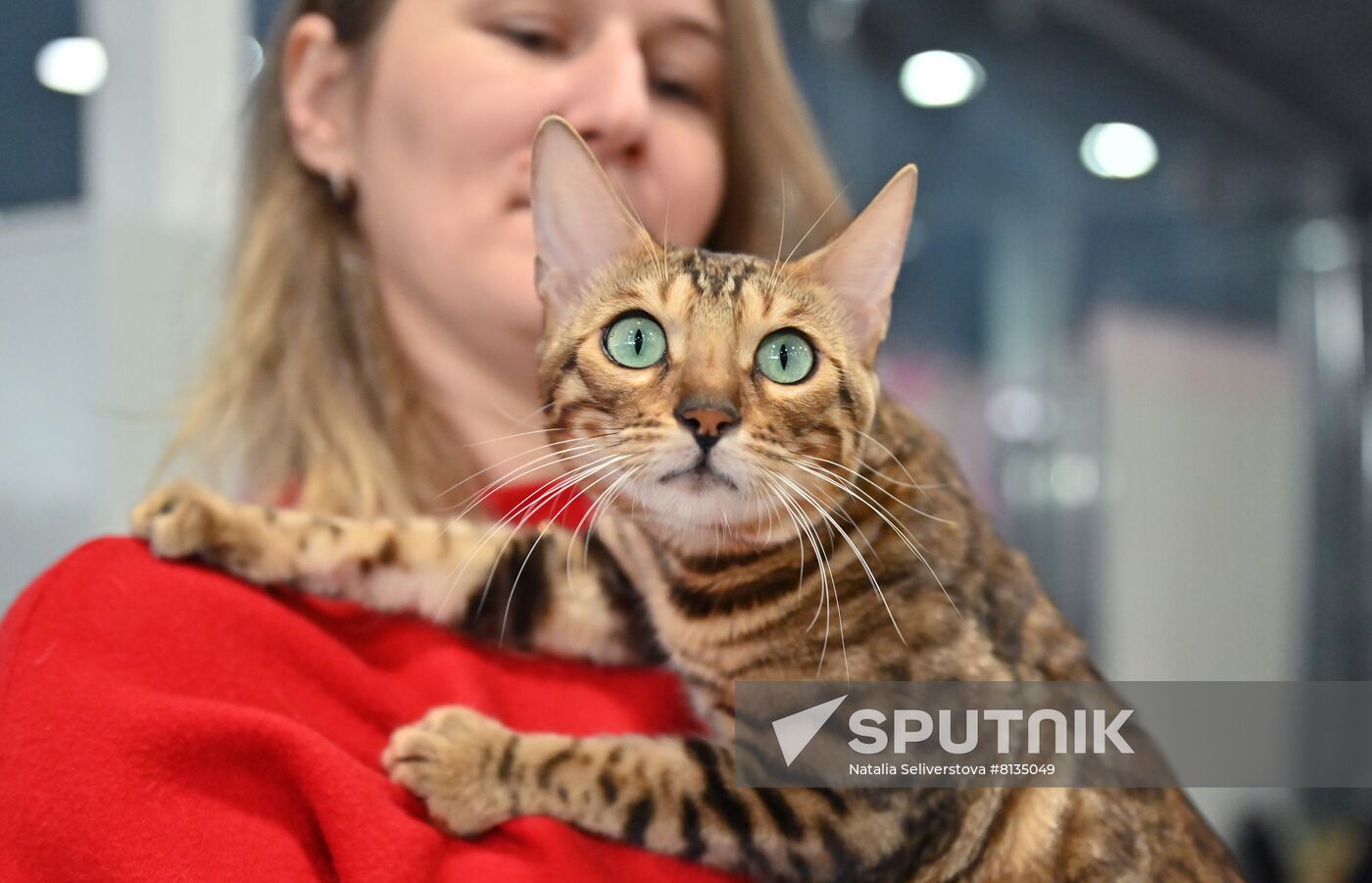 Russia Cat Exhibition