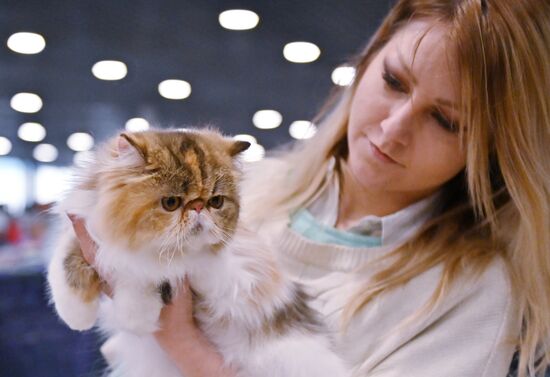Russia Cat Exhibition
