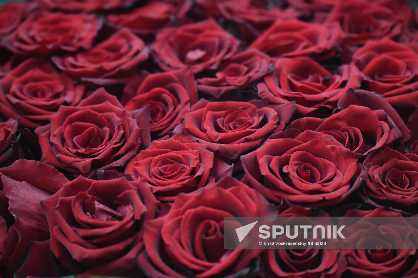 Russia Women's Day Preparations