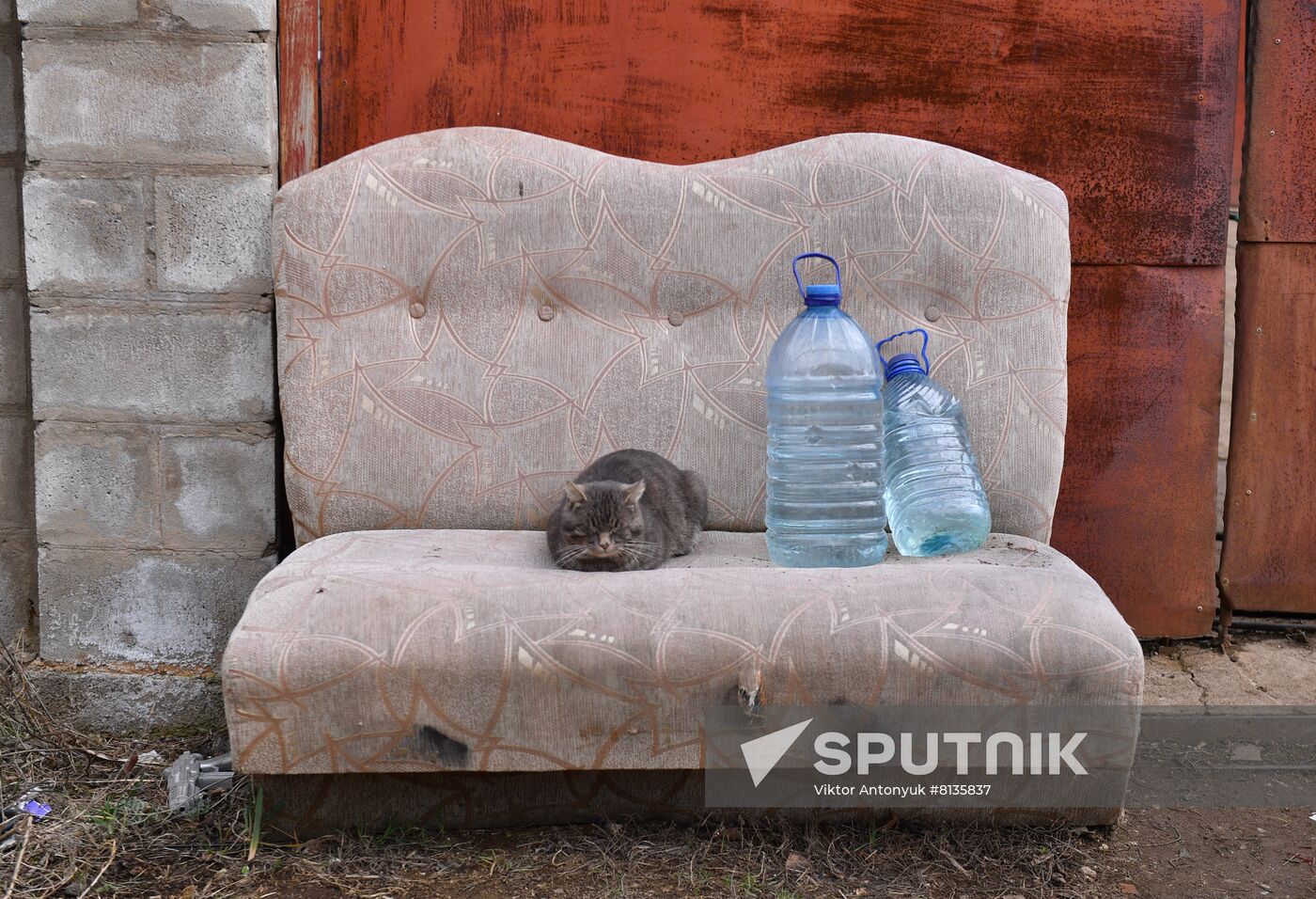 DPR LPR Russia Ukraine Military Operation