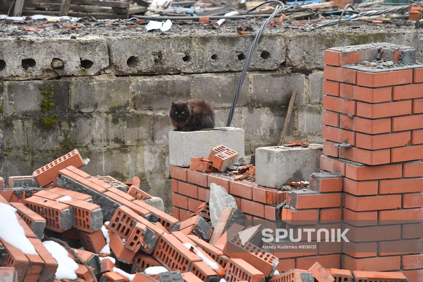 DPR LPR Russia Ukraine Military Operation