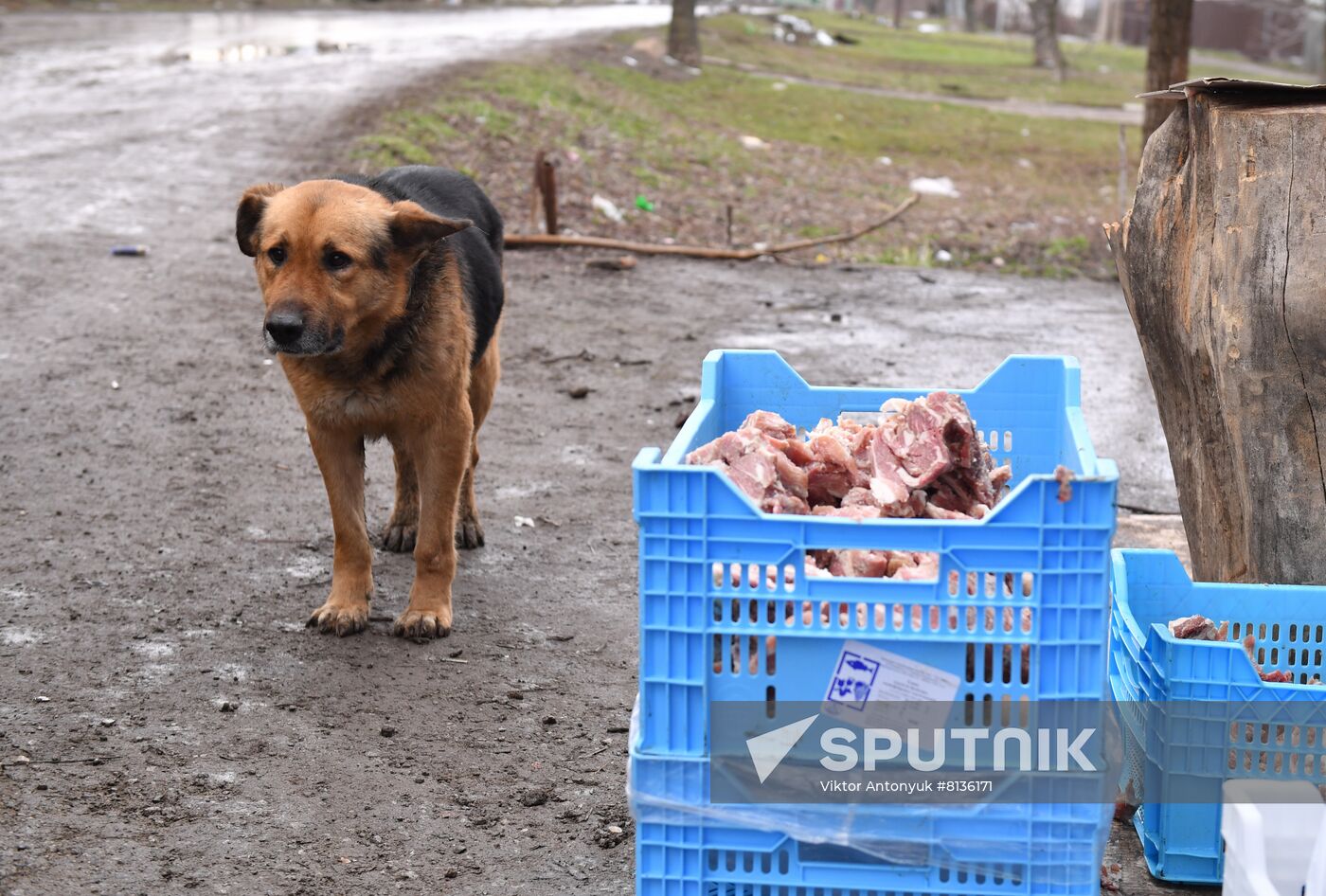 DPR LPR Russia Ukraine Military Operation